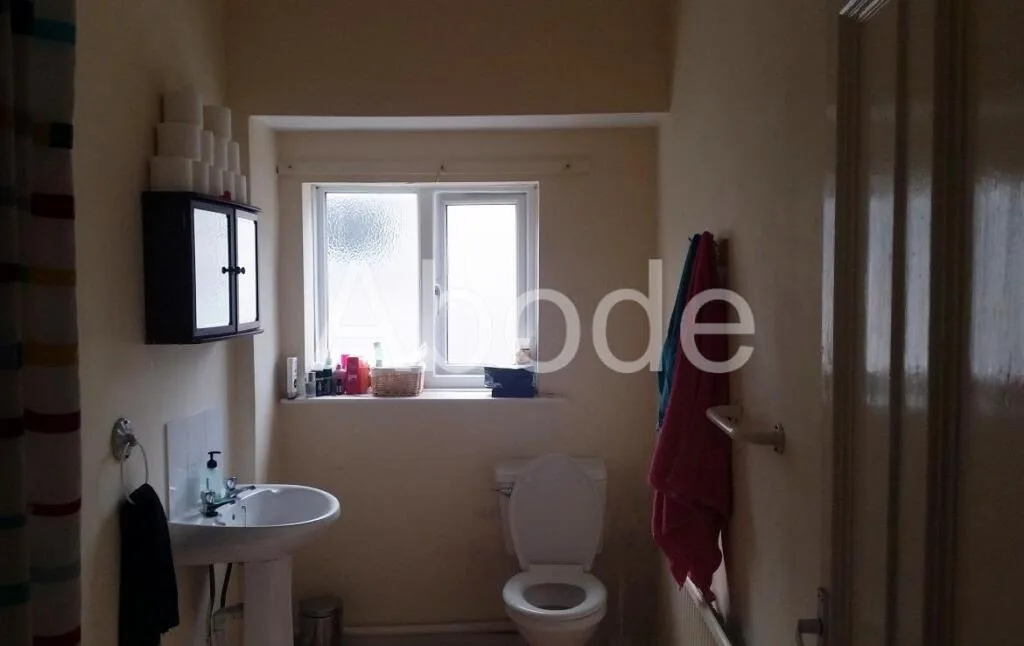 2 bedroom house for rent