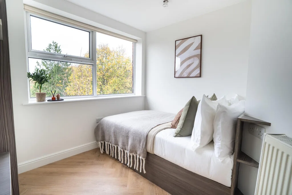 2 bedroom apartment for rent