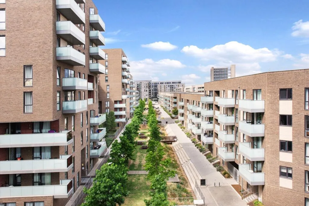 1 bedroom apartment for rent