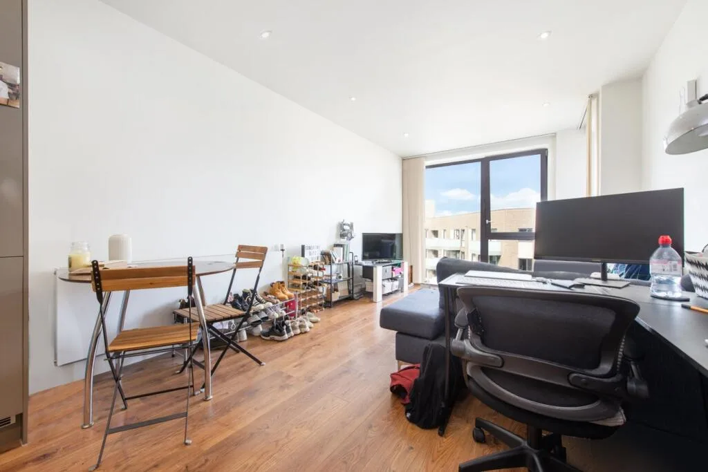 1 bedroom apartment for rent