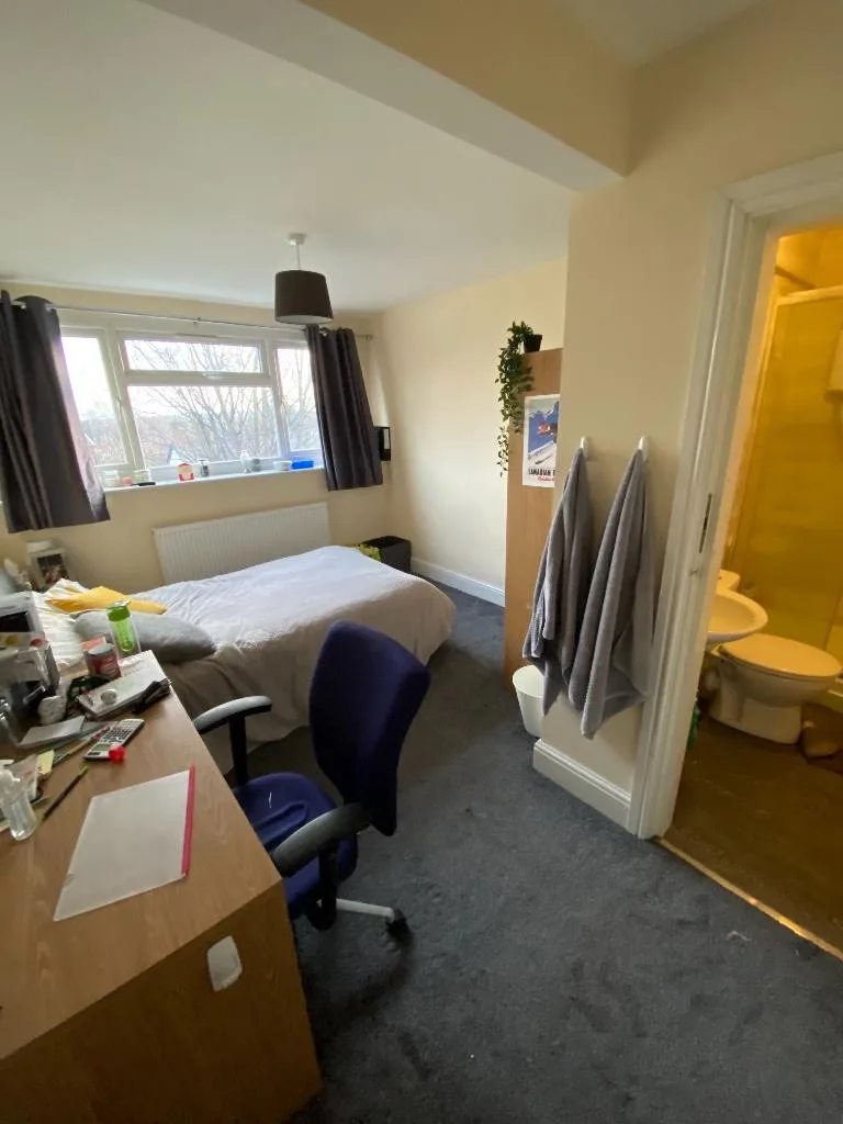 1 bedroom house share for rent