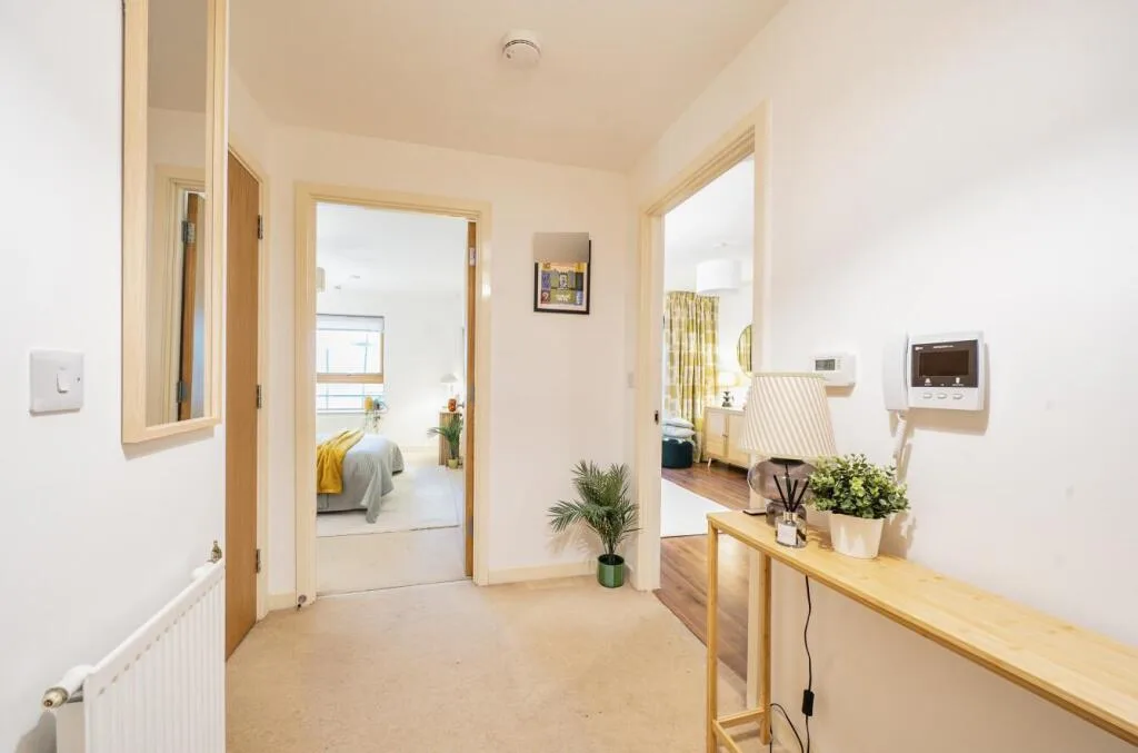 1 bedroom apartment for rent