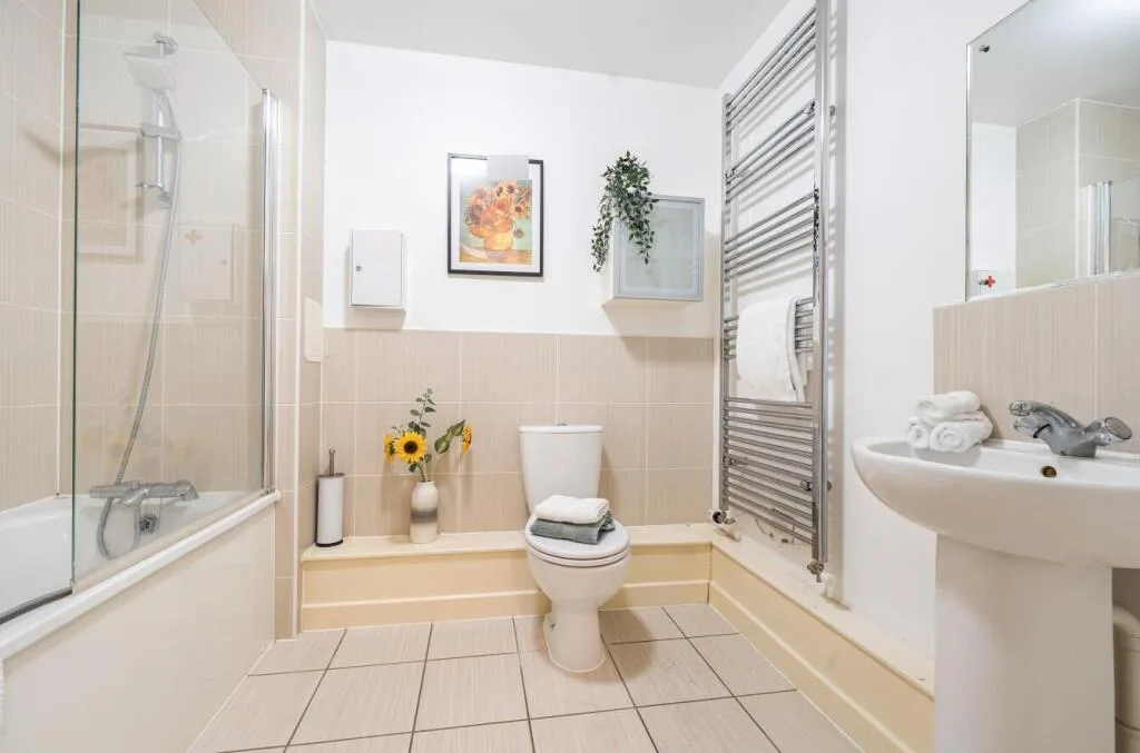 1 bedroom apartment for rent