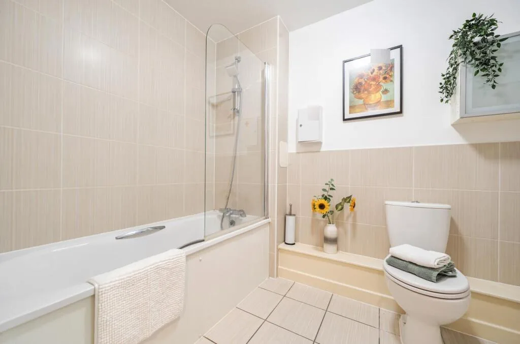 1 bedroom apartment for rent
