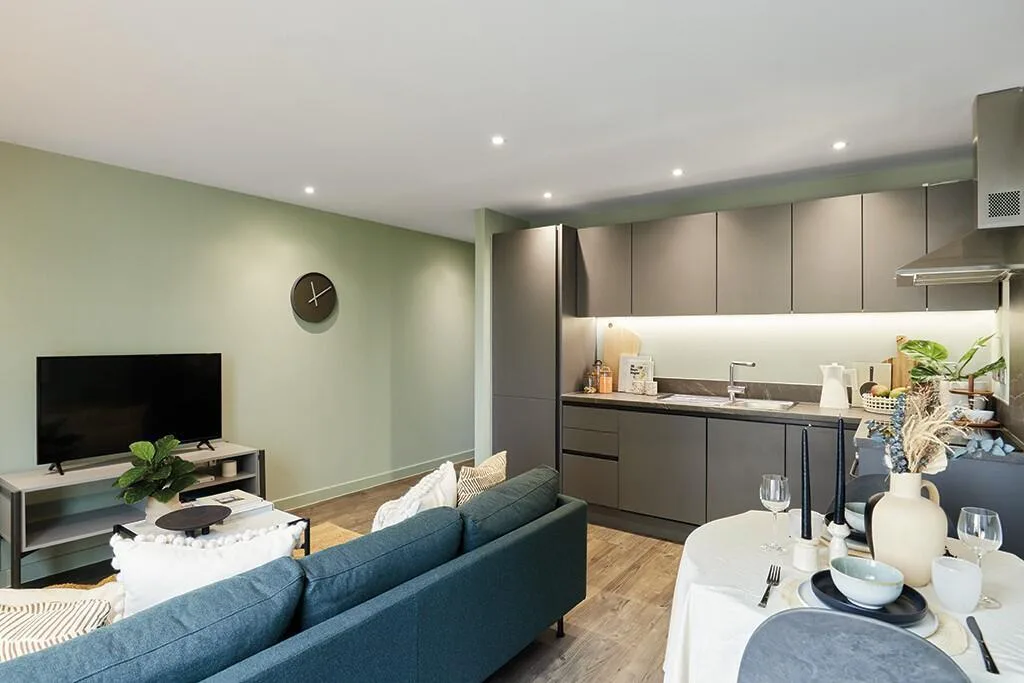 1 bedroom apartment for rent