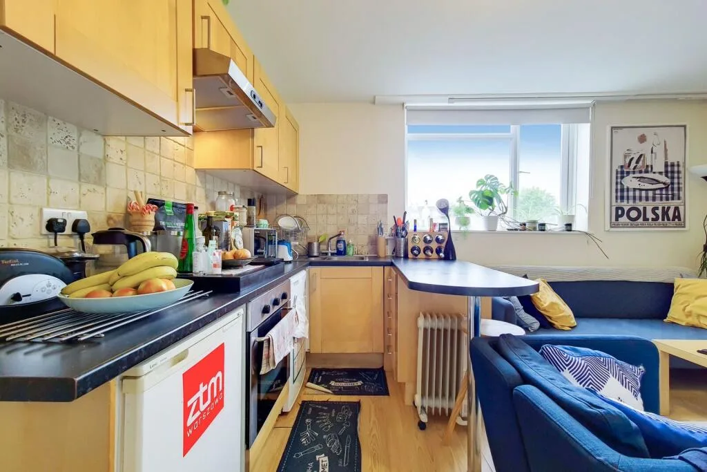 1 bedroom flat for rent