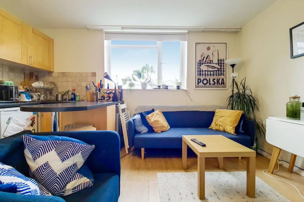 1 bedroom flat for rent