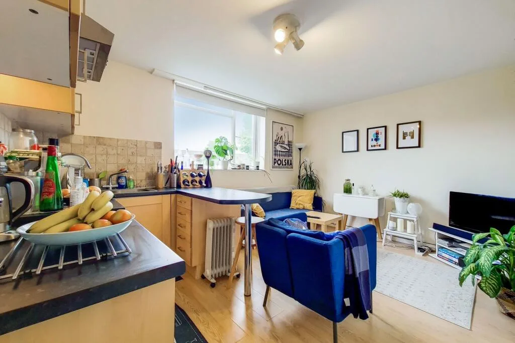 1 bedroom flat for rent