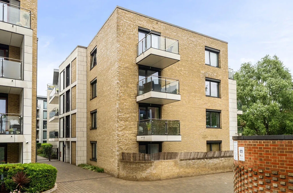 1 bedroom ground floor flat for rent