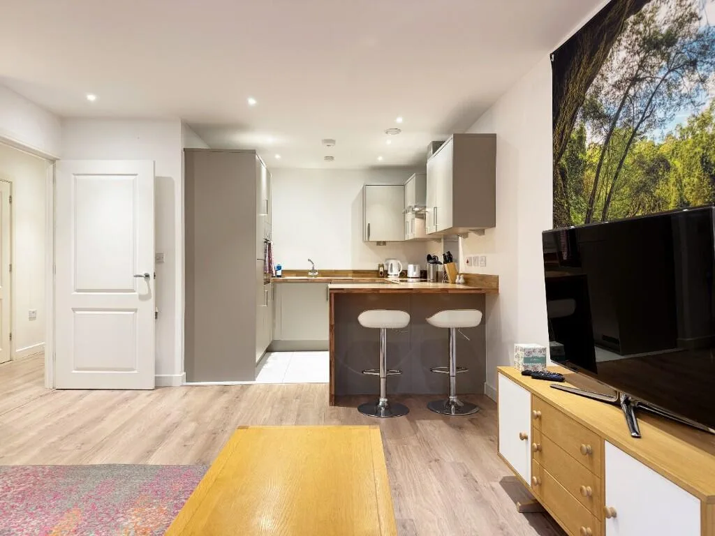 1 bedroom apartment for rent