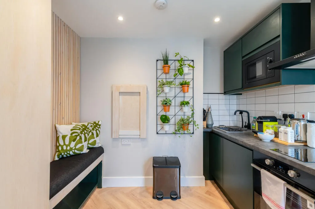 1 bedroom flat for rent