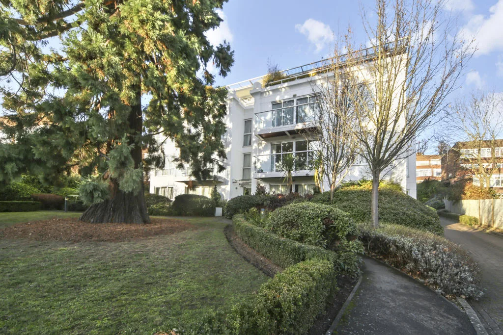 2 bedroom flat for rent