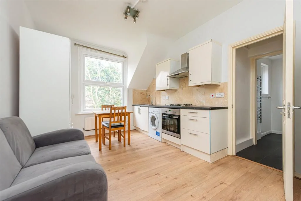 1 bedroom apartment for rent