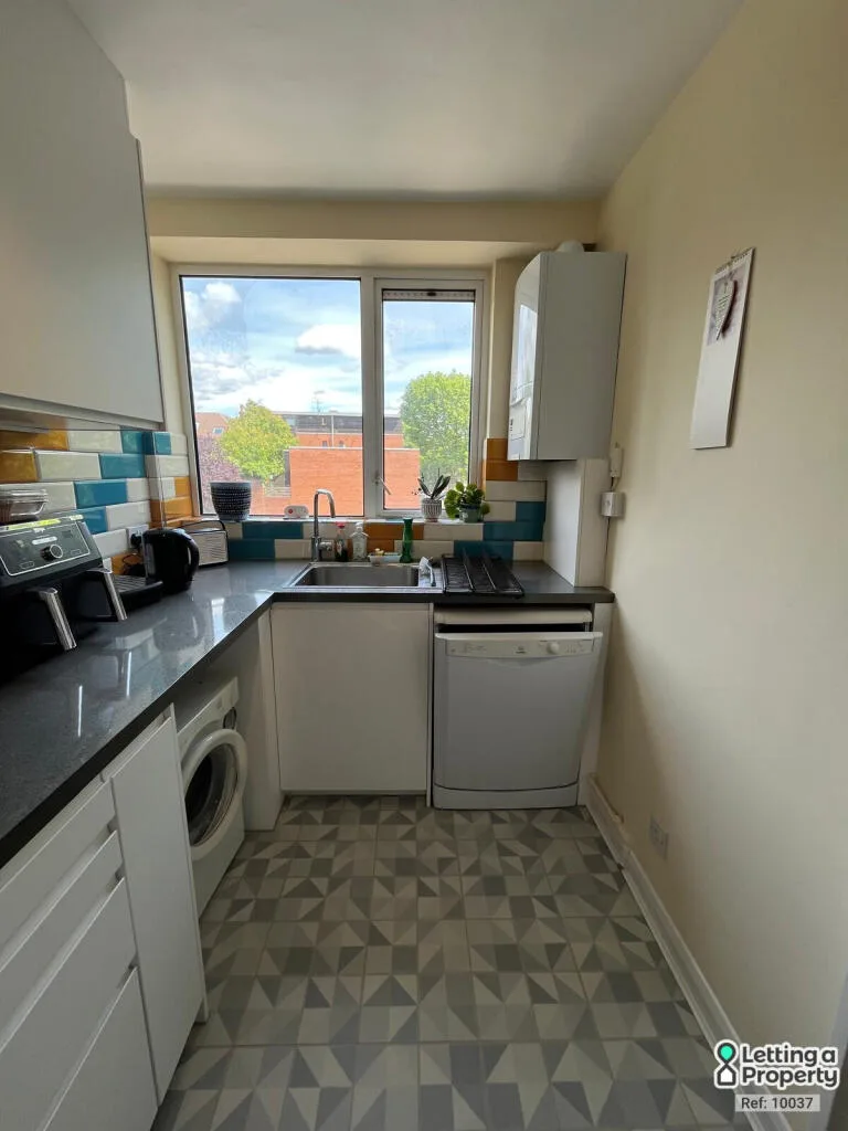 1 bedroom apartment for rent