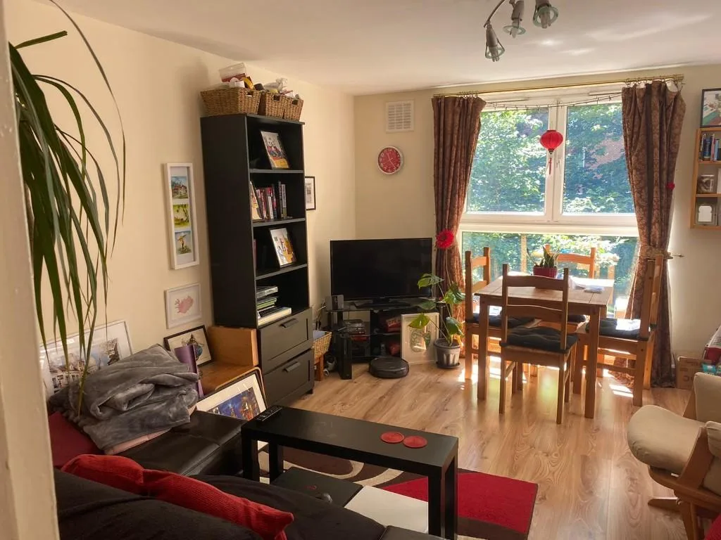 1 bedroom flat for rent