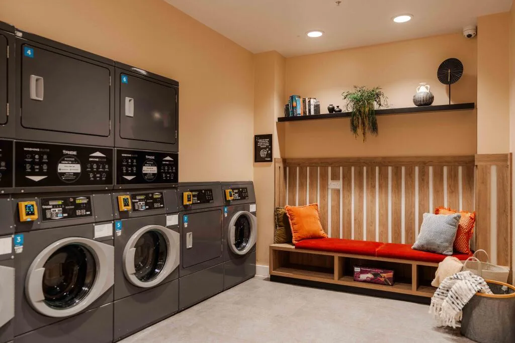 1 bedroom flat share for rent