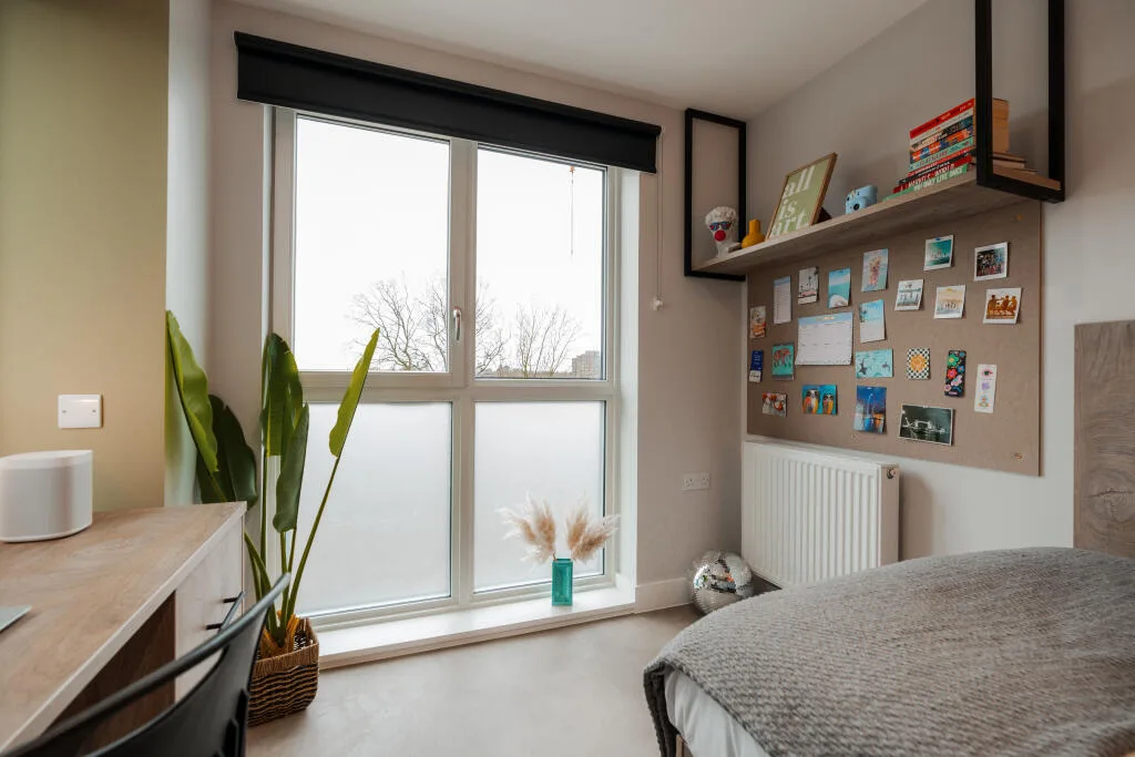 1 bedroom flat share for rent