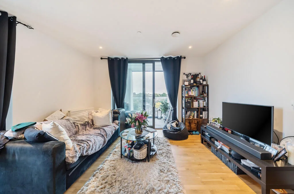 1 bedroom property for rent