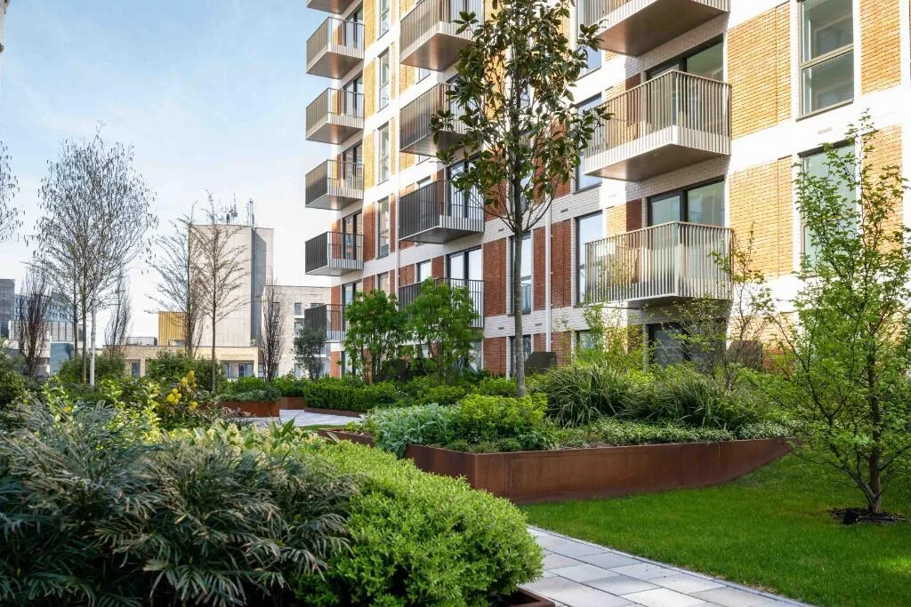 1 bedroom apartment for rent