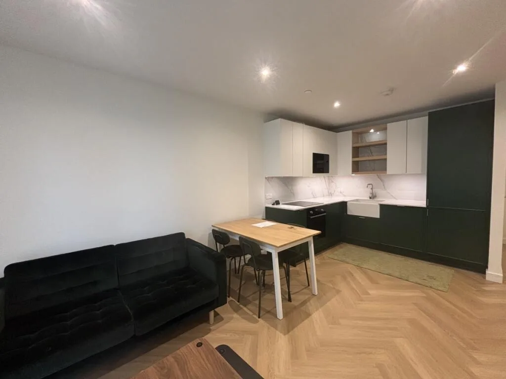 1 bedroom apartment for rent