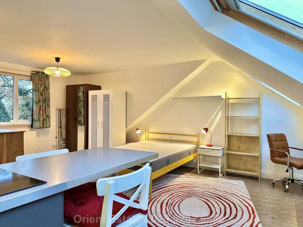 Studio flat for rent