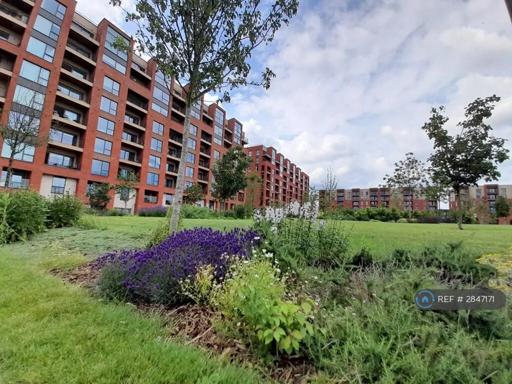 3 bedroom flat for rent