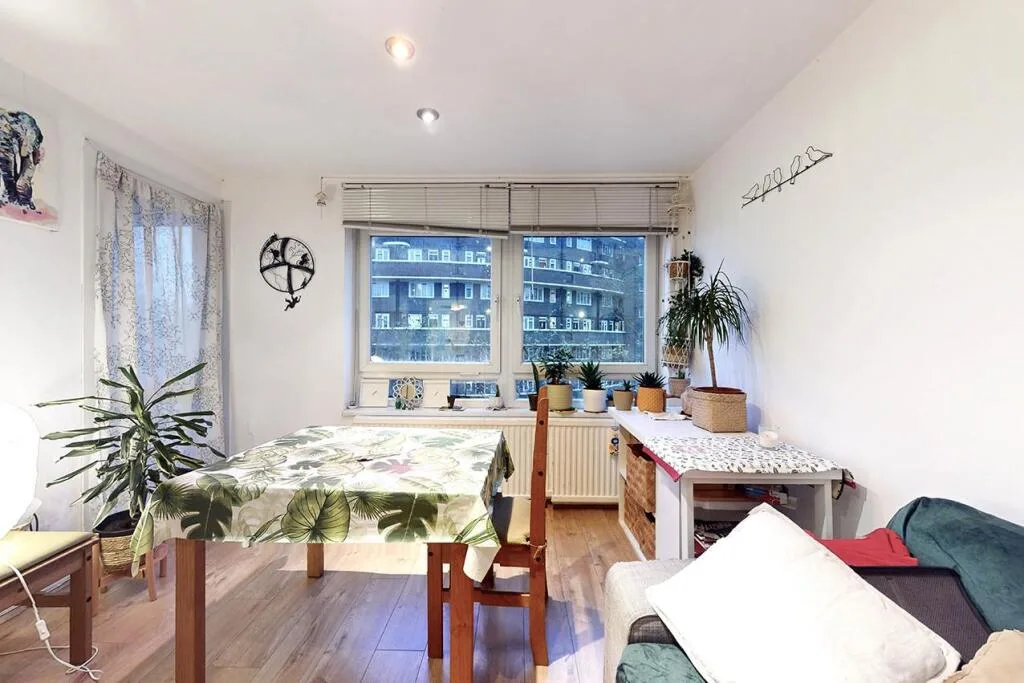 1 bedroom apartment for rent