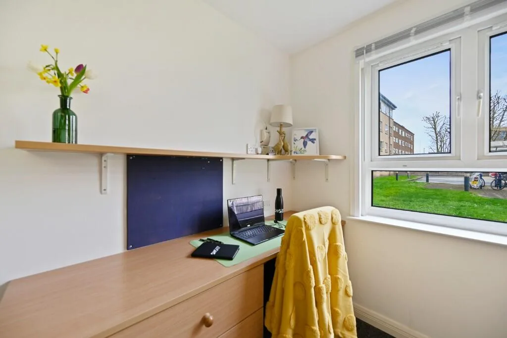 1 bedroom flat share for rent