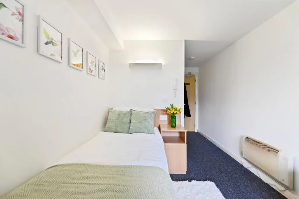 1 bedroom flat share for rent