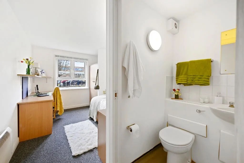 1 bedroom flat share for rent