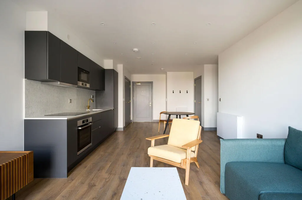 1 bedroom flat for rent