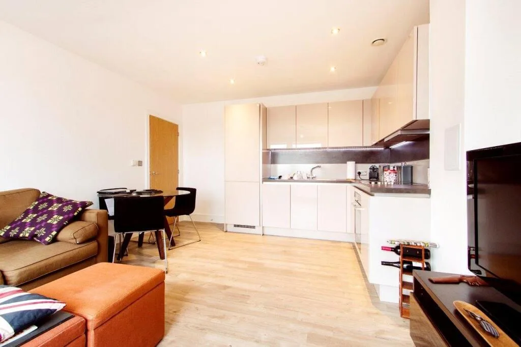 1 bedroom apartment for rent