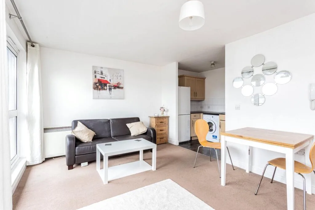 1 bedroom apartment for rent