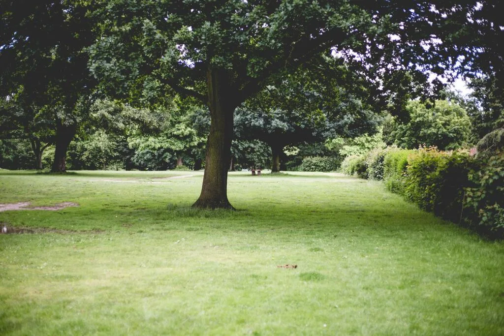 1 bedroom ground floor flat for rent