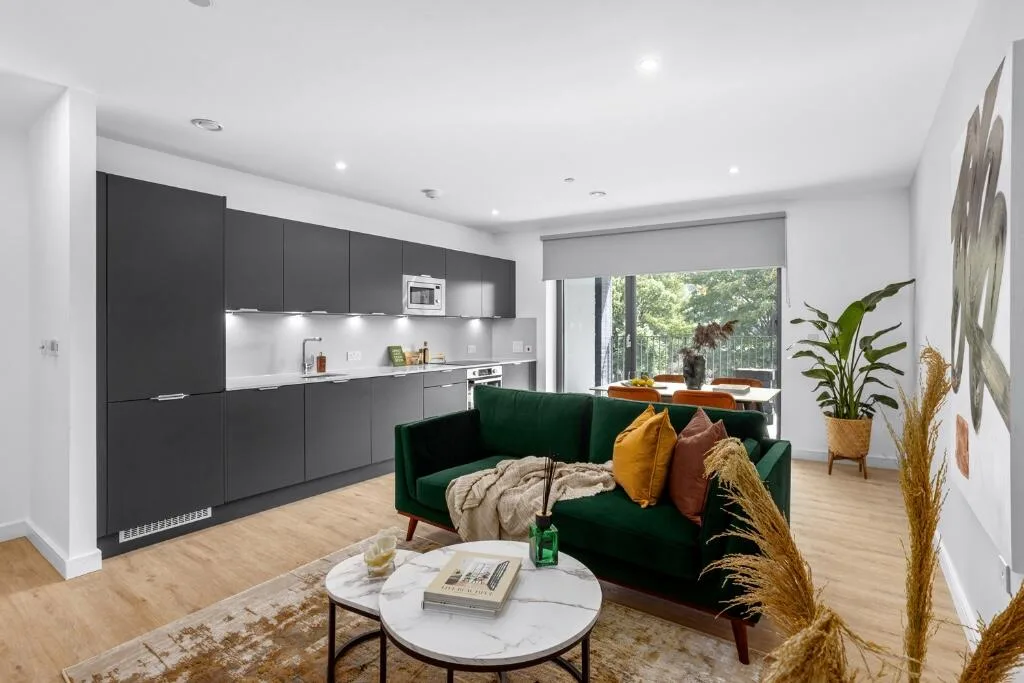 1 bedroom apartment for rent