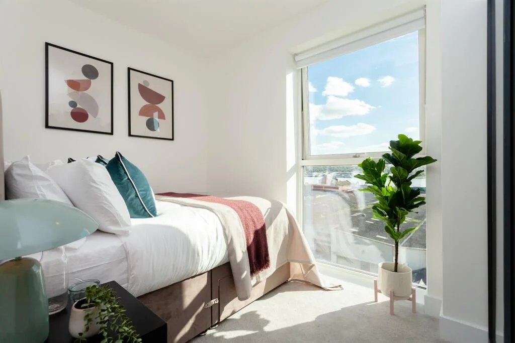 3 bedroom flat for rent