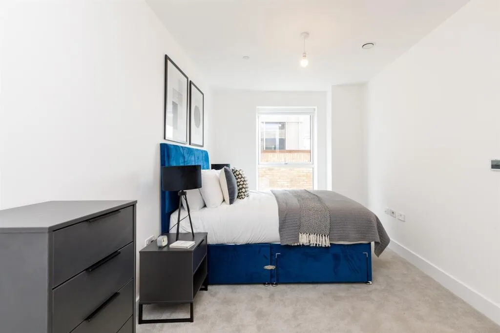 1 bedroom flat for rent