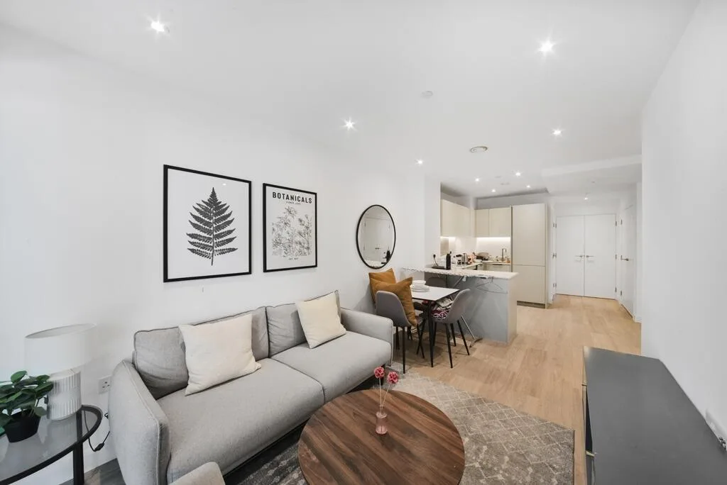 1 bedroom apartment for rent