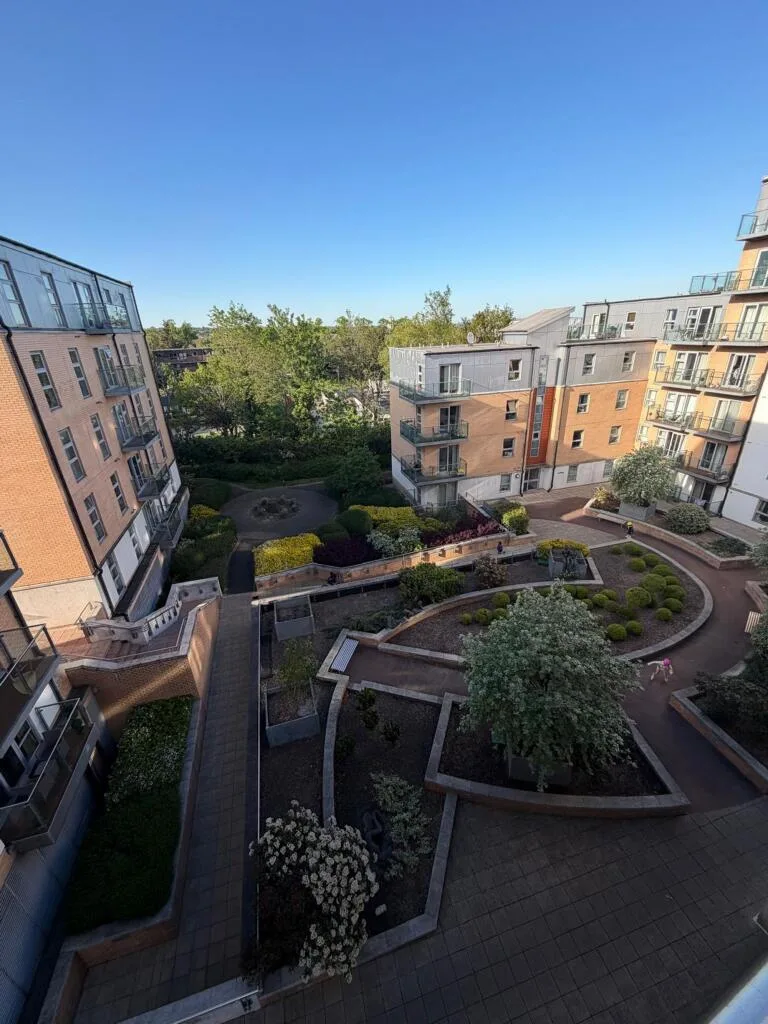 2 bedroom flat for rent
