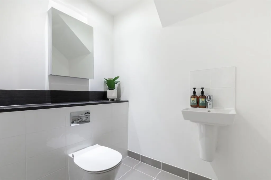 3 bedroom flat for rent