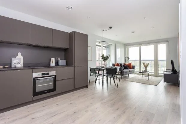 1 bedroom apartment for rent