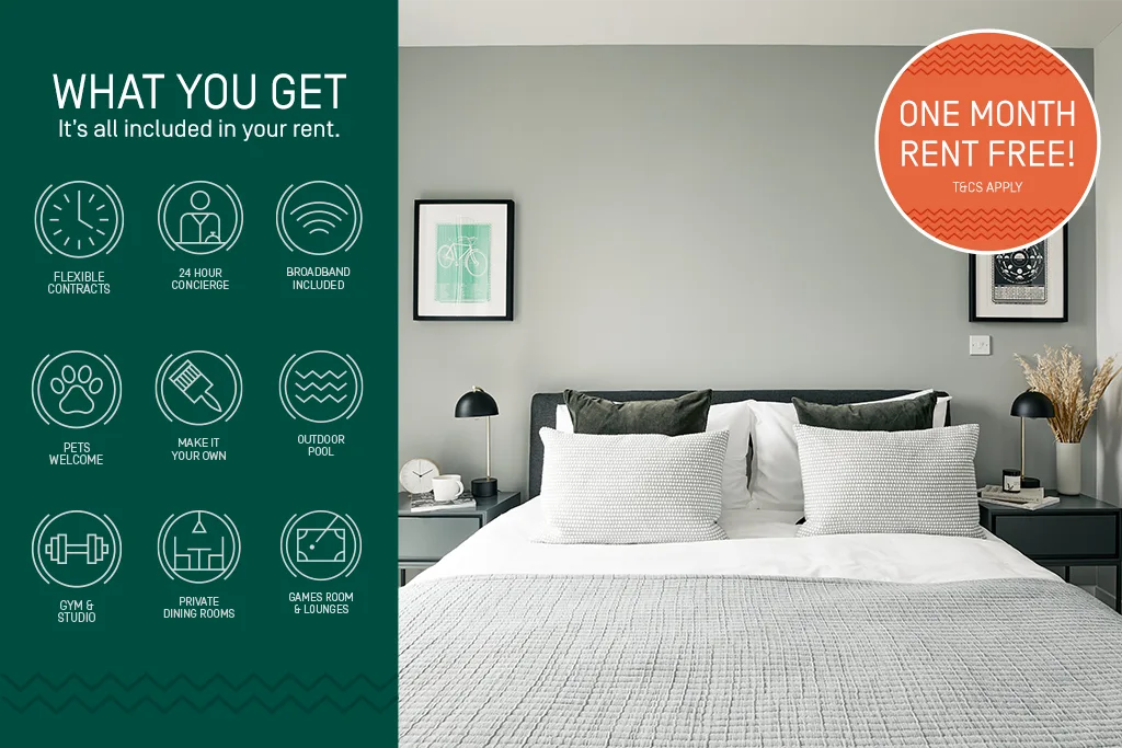 1 bedroom apartment for rent