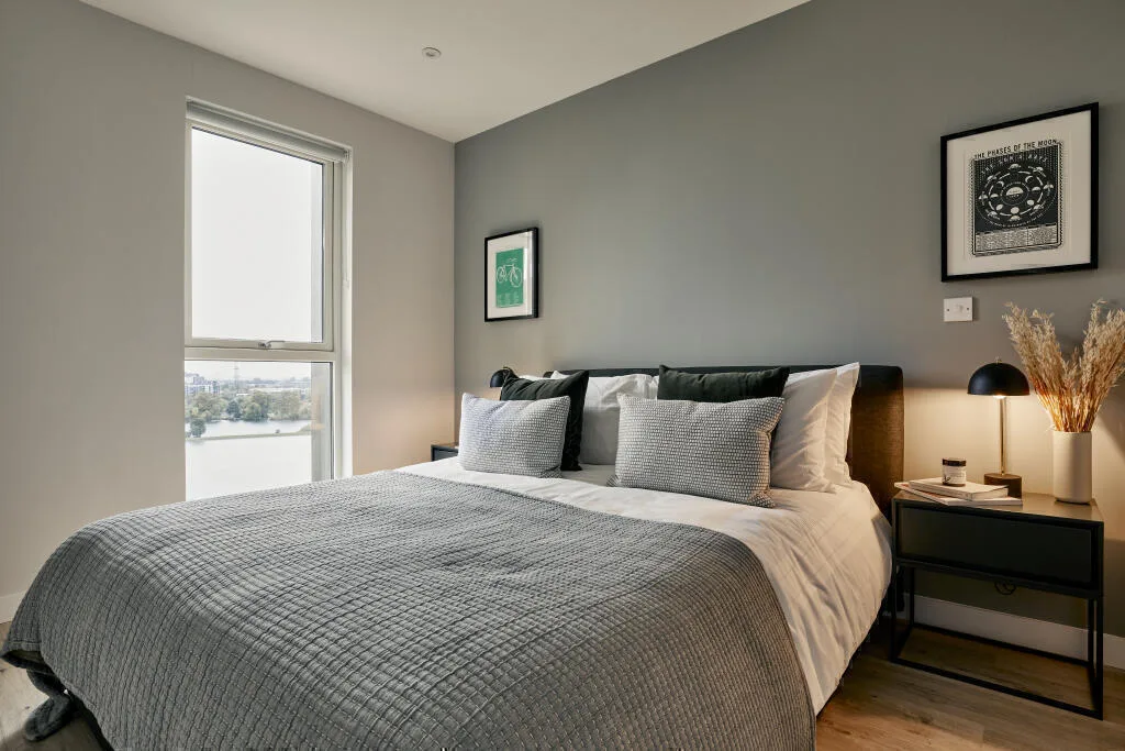 1 bedroom apartment for rent
