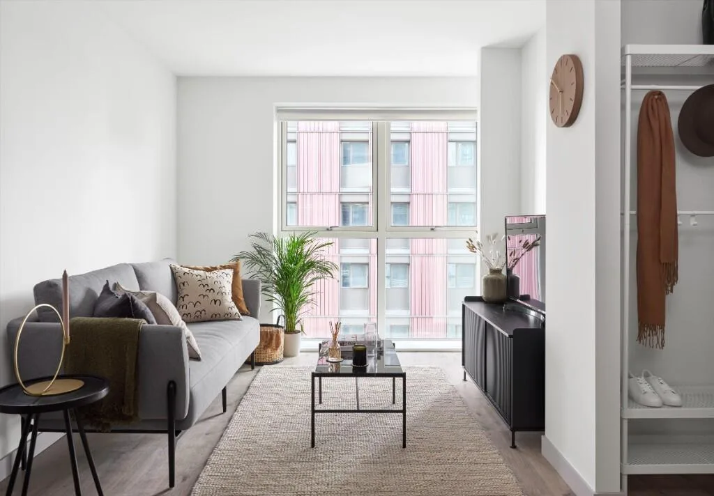 Studio flat for rent