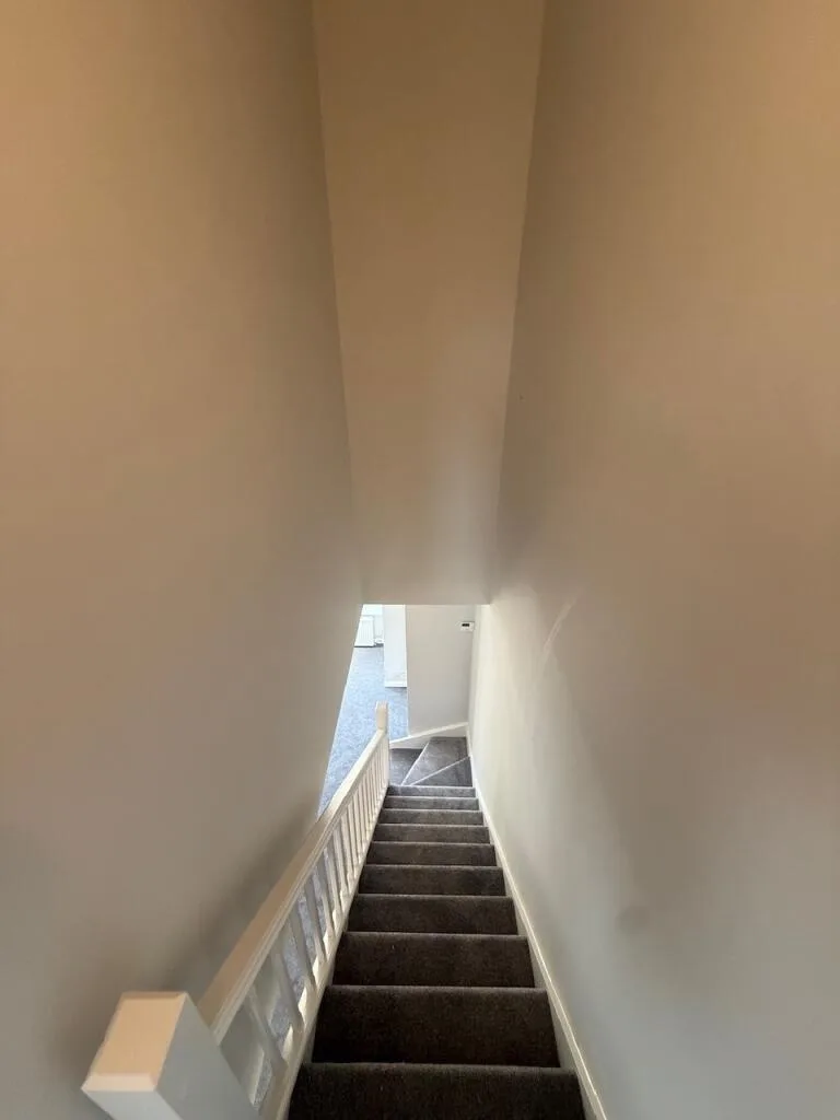 2 bedroom house for rent