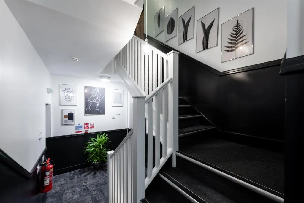 Studio flat for rent