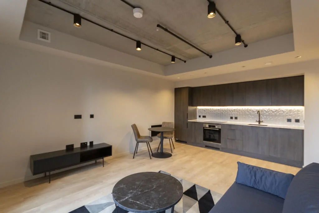 1 bedroom apartment for rent