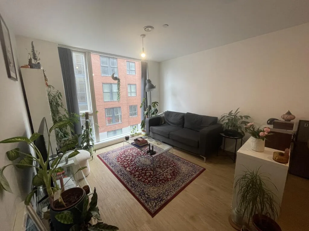 1 bedroom apartment for rent