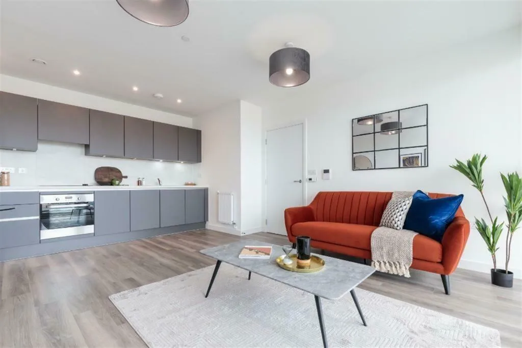 1 bedroom flat for rent