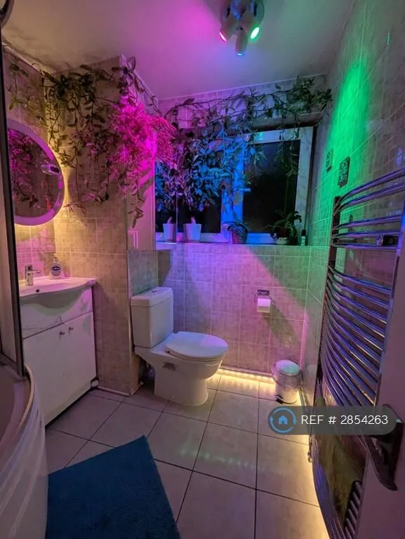 1 bedroom flat share for rent